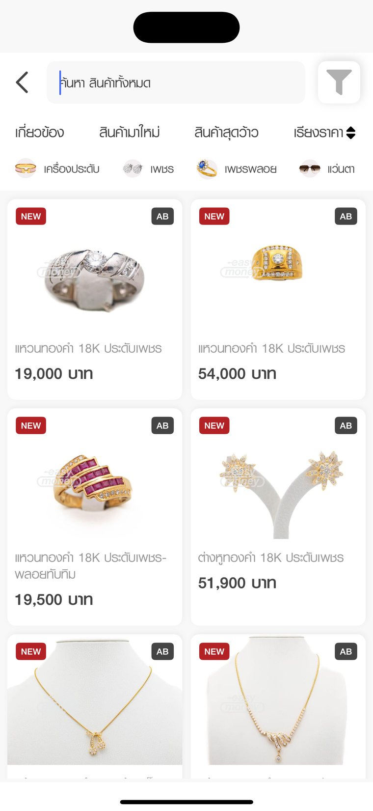 Easy Outlet product search results in a two-column grid